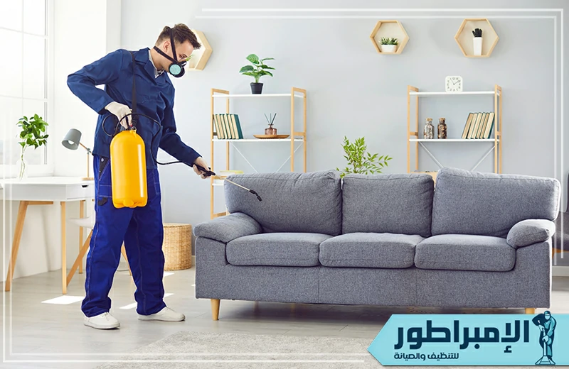 شركة مكافحة حشرات بالخرج