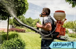 شركة رش مبيدات بحائل